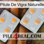 Natural Vigra Pill 25